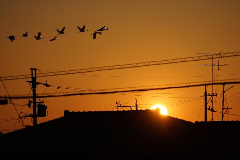 Услуги электротехнической лаборатории в Москве