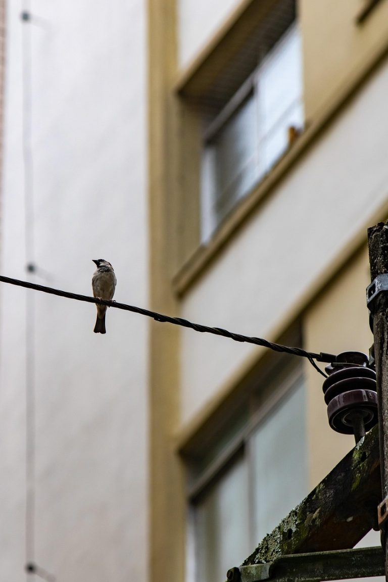 Измерение сопротивления изоляции электросетей и электрооборудования