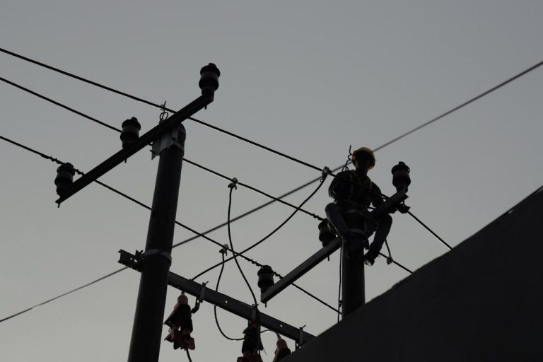 Услуги электротехнической лаборатории