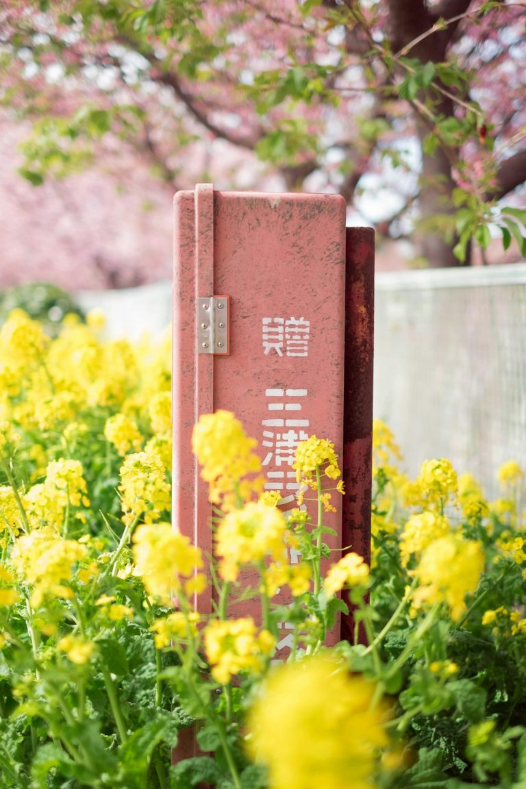 Диагностика и ремонт электропроводки в Москве